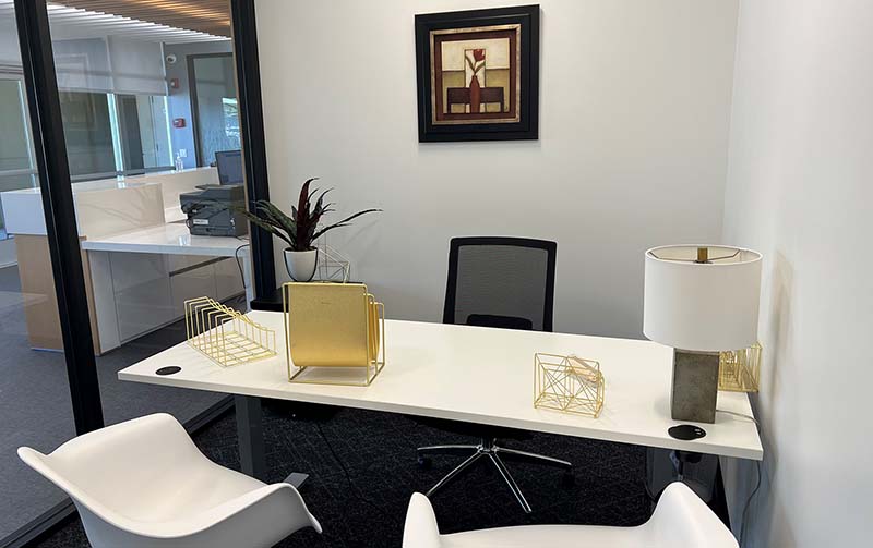 Custom Private Office Alternate View